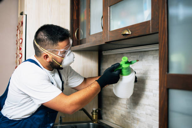 Wildlife Control Services in Coral Hills, MD