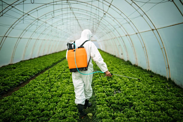 Best Affordable Pest Control Services  in Coral Hills, MD