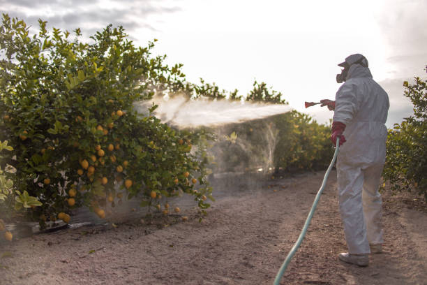 Best Pest Prevention Services  in Coral Hills, MD