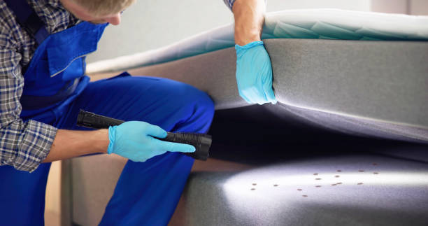 Best Wasp Removal Services  in Coral Hills, MD