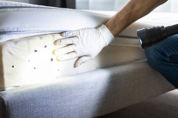 Best Best Pest Control Companies  in Coral Hills, MD