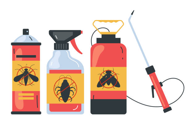 Best Flea Control Services  in Coral Hills, MD