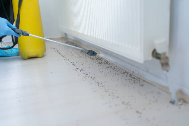 Best Wildlife Control Services  in Coral Hills, MD