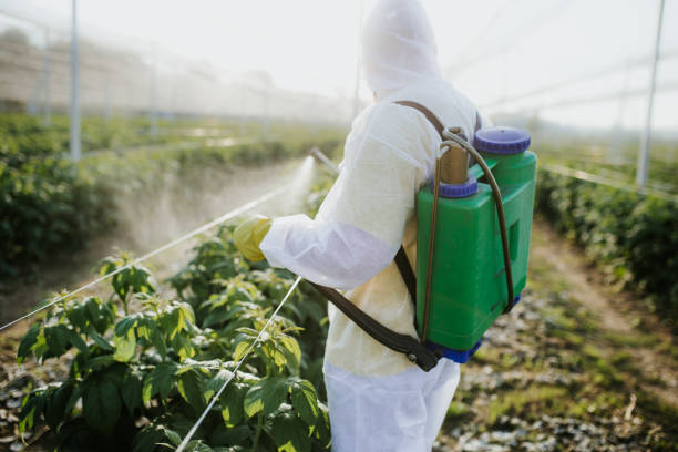 Best Bed Bug Extermination  in Coral Hills, MD